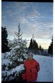 IMG2488