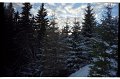 IMG2489
