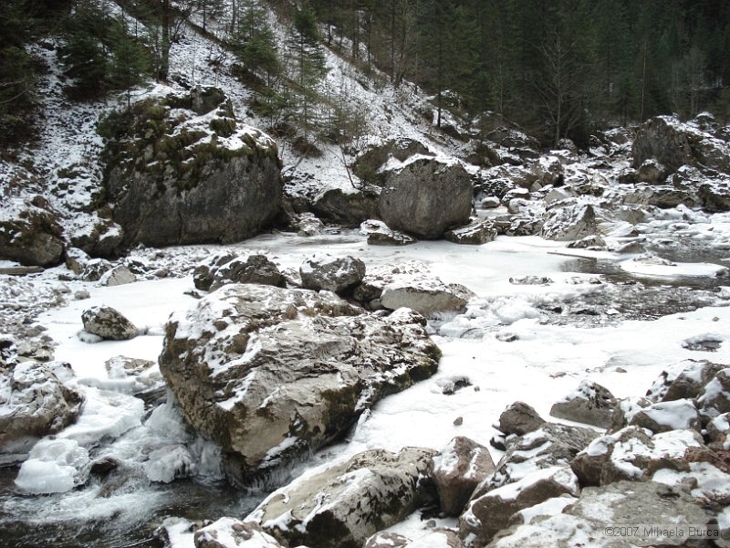 DSC01017.JPG