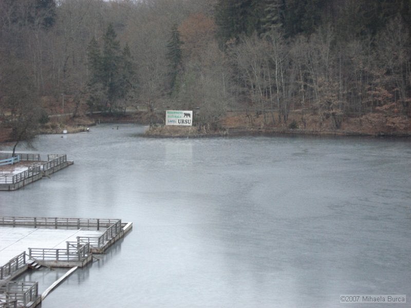 DSC01160.JPG