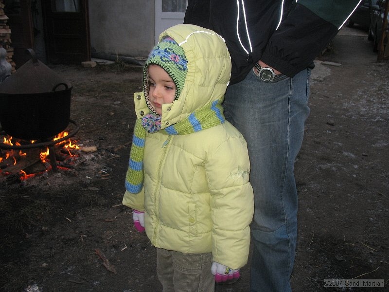IMG_3730.JPG