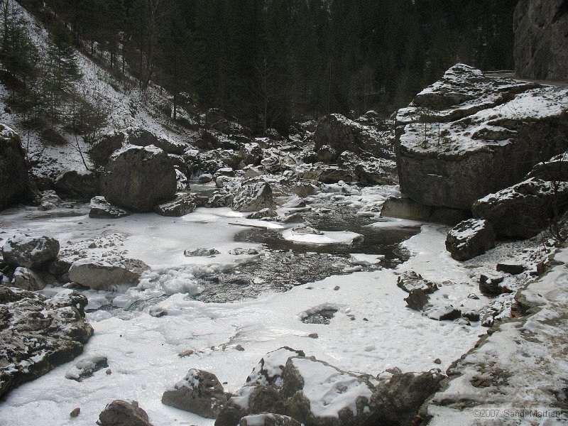 IMG_3916.jpg