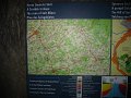 IMG_3538