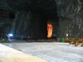 IMG_3552
