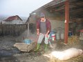 IMG_3670