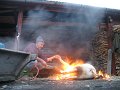 IMG_3677
