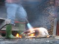 IMG_3681