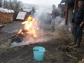 IMG_3750