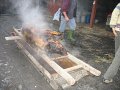 IMG_3753