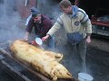 IMG_3760