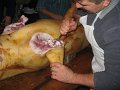 IMG_3777