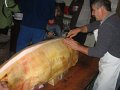 IMG_3783