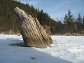 IMG_3909