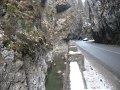 IMG_3924