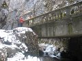 IMG_3926