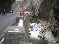 IMG_3931