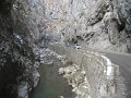IMG_3935