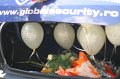 IMG_5078