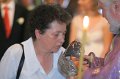 IMG_9210