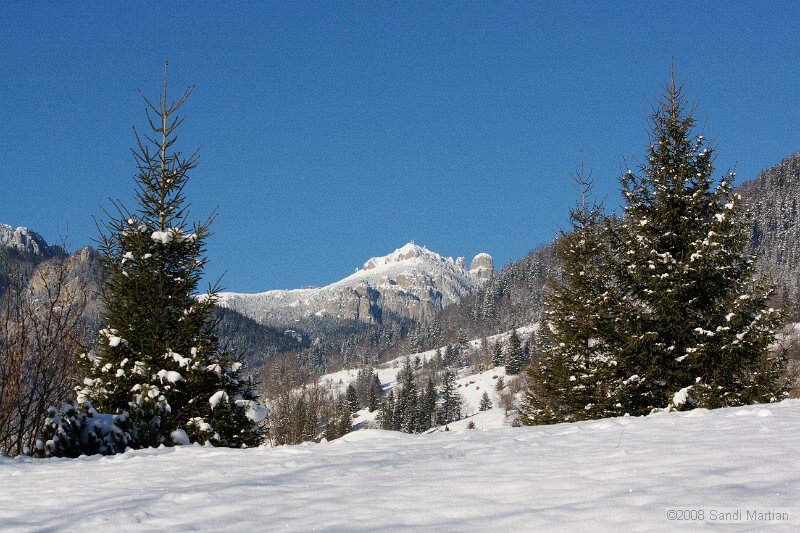 IMG_2788.jpg