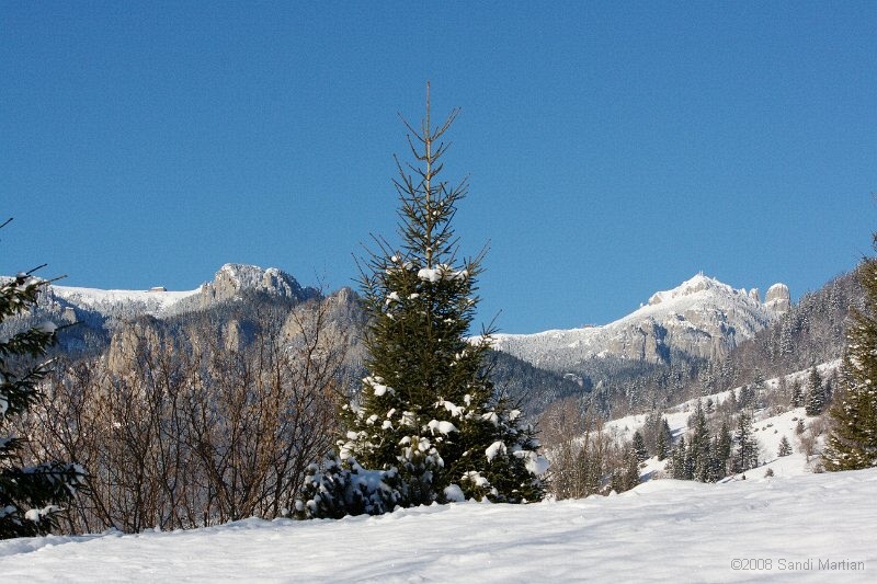 IMG_2789.jpg