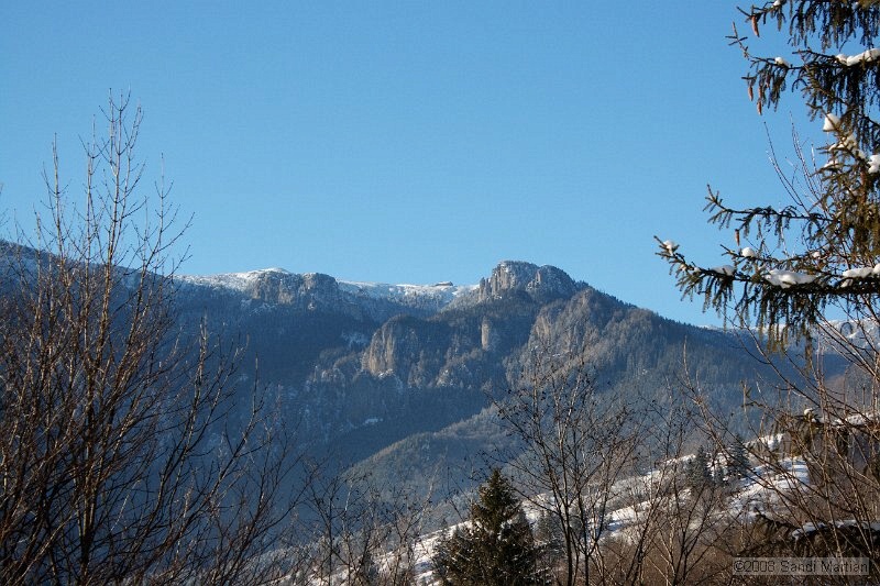 IMG_2818.jpg