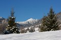 IMG_2788