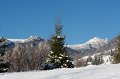 IMG_2789