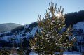IMG_2807