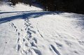 IMG_2813