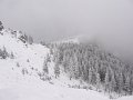 IMG_3173