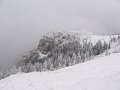 IMG_3174
