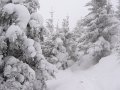 IMG_3195