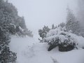 IMG_3200