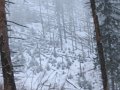 IMG_3203