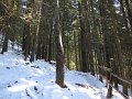 IMG_3220