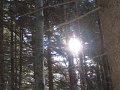 IMG_3221