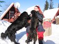 IMG_3225
