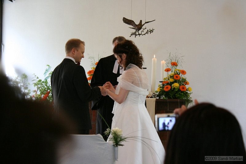 IMG_4232.jpg