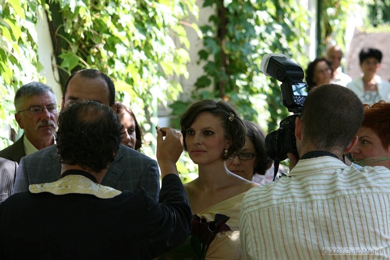IMG_7827.jpg