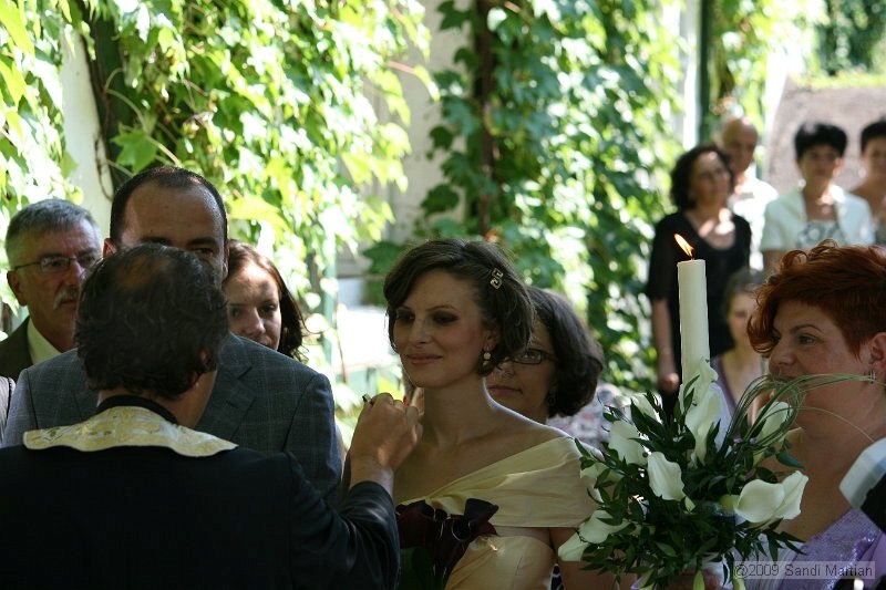 IMG_7829.jpg