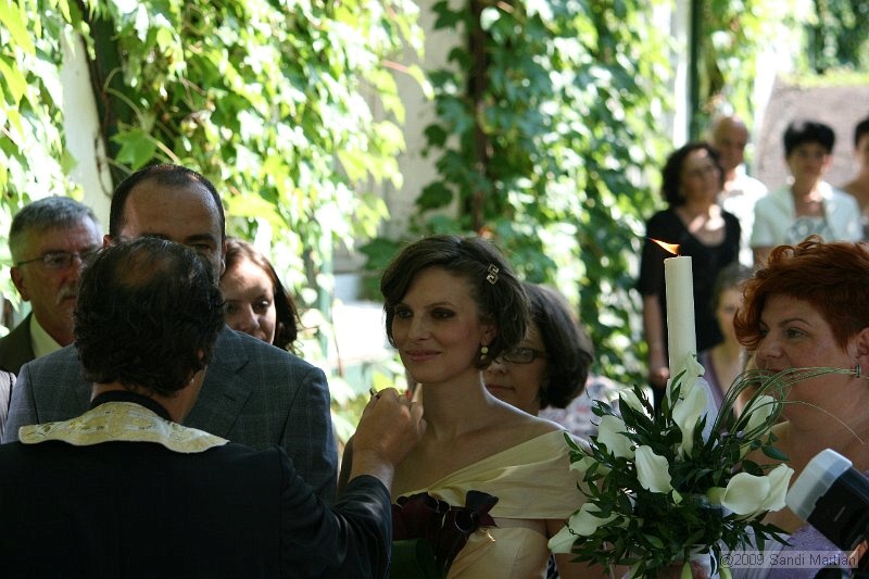 IMG_7830.jpg