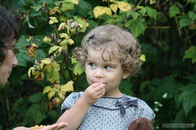 IMG_7952.jpg