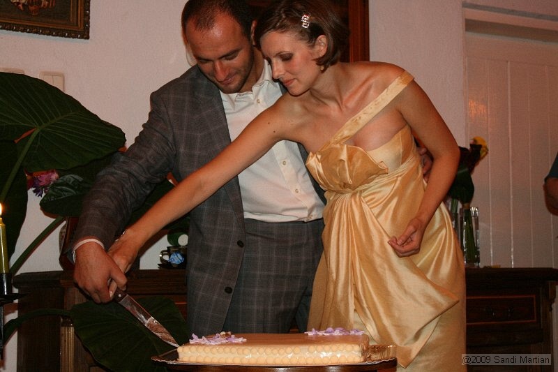 IMG_7986.jpg