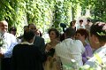 IMG_7825