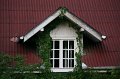 IMG_7965
