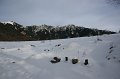 IMG_4753