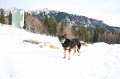 IMG_4755