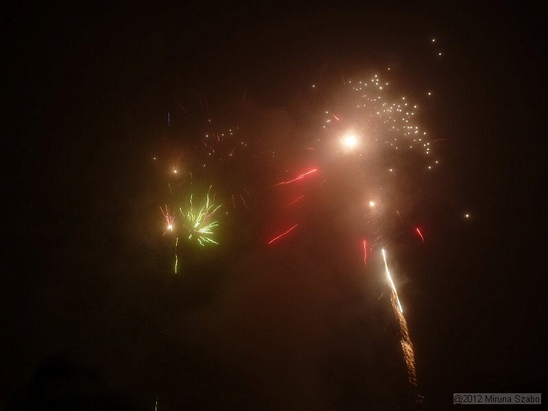 P1100833.JPG