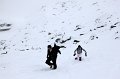 IMG_0221